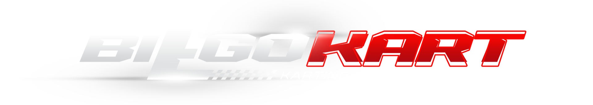 Bilgokart