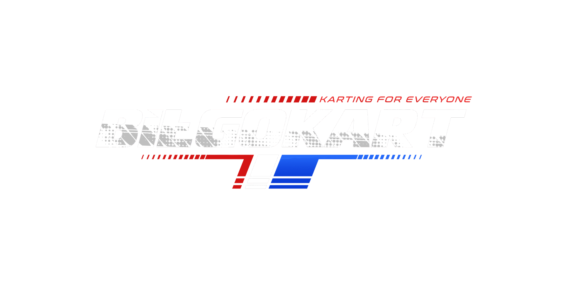 Bilgokart